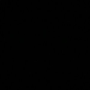 Meet your Posher, Anne